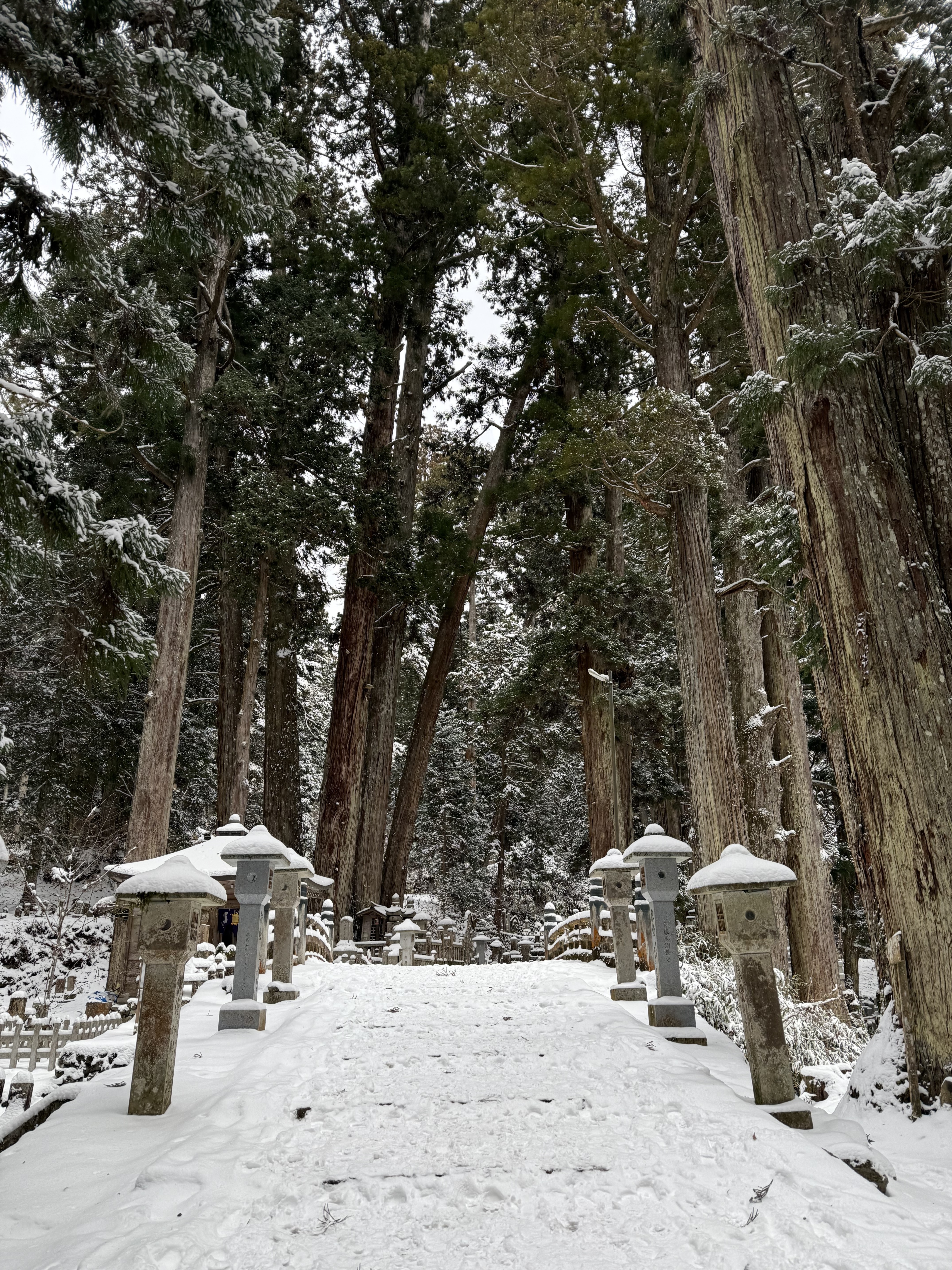 Koyasan — Okunoin path through ancient cedar forest